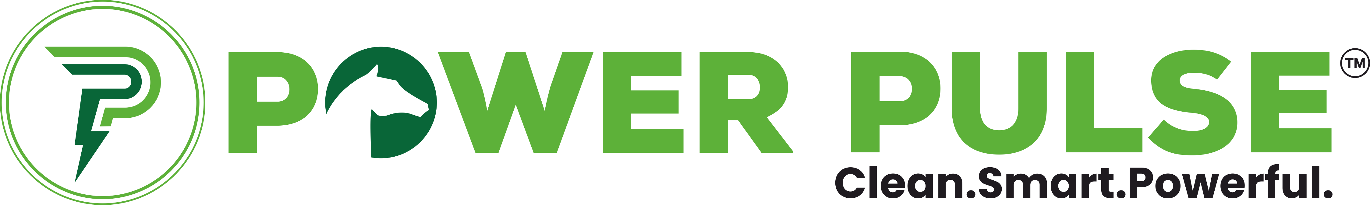PowerPulse